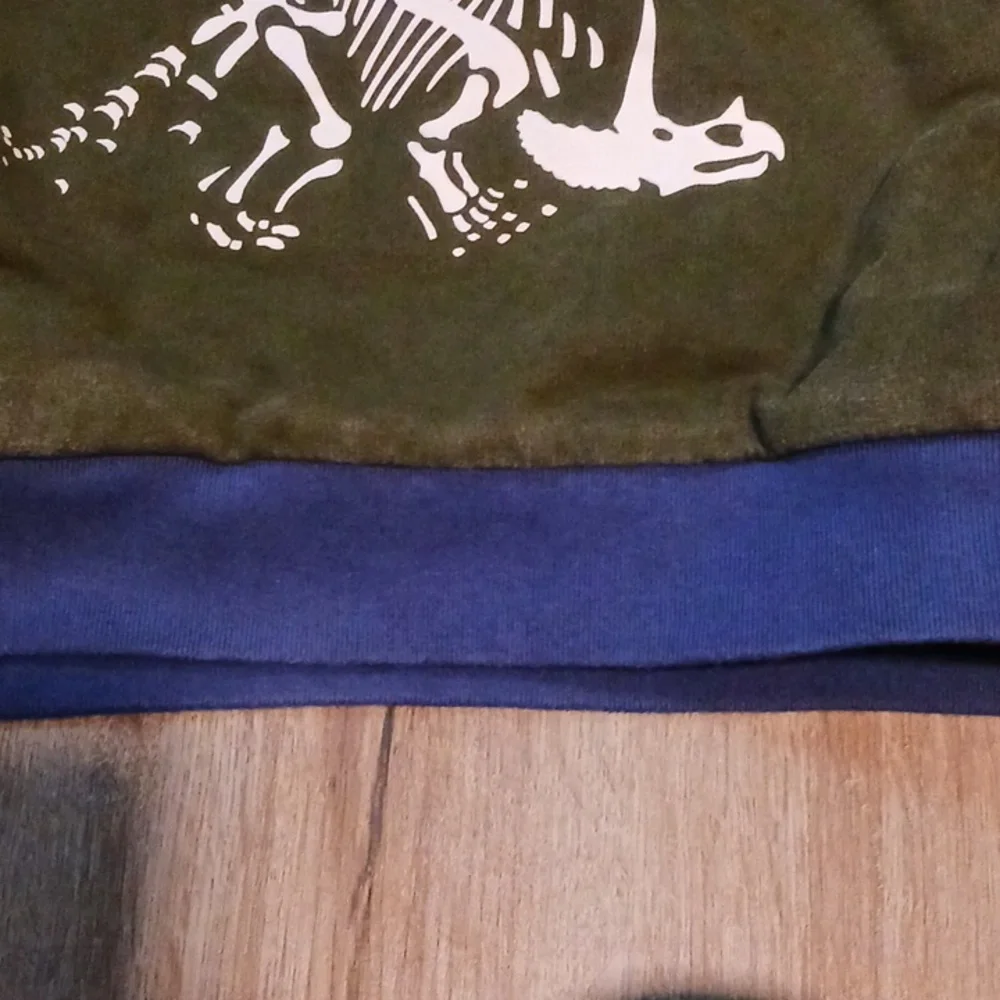 9/10 Mini Boden Blue and Green Dinosaur Hoodie - Picture 4 of 7